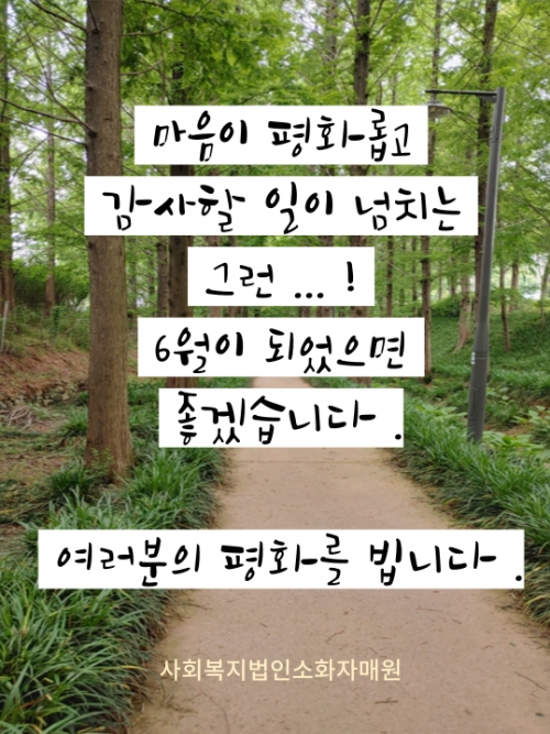 6월의 평화를 빕니...