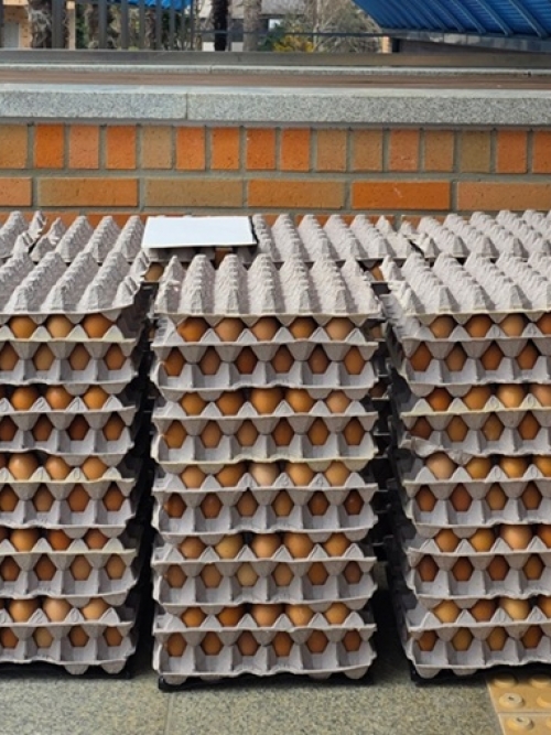 태은농장 후원(202...